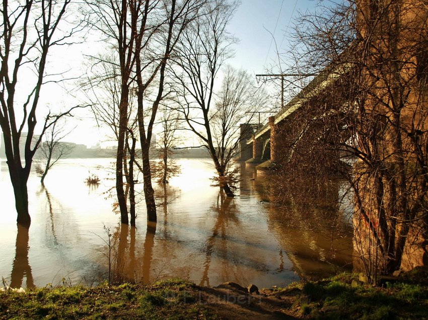 Hochwasser Koeln 2011 Tag 3 P140.JPG